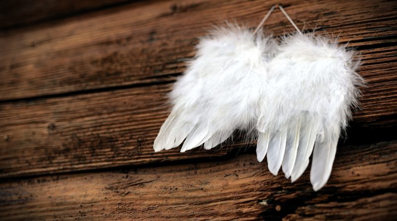 feathers wing angel wings wood 4661244